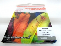 Фотобумага 220г/м2 A4 50 л., матовая двухсторонняя Эконом Вид  2