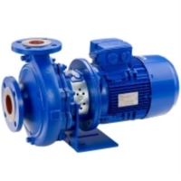 Помпа Lowara FHE 65-125/55/P (брутто 78.2) 65-12555P для моделей iek