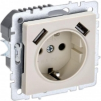 Розетка 2Р с защитными шторками и USB A+A, BR-R14 BR-R14-16-U21-D21-K10 для моделей iek