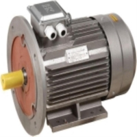 Электродвигатель асинхронный АИР 132S6, DRV132-S6 DRV132-S6-005-5-1020 для моделей iek