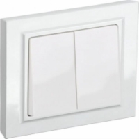 Выключатель двухклавишный BR-V20-0-10-K01-F, цвет BR-V20-0-10-K01-F для моделей iek