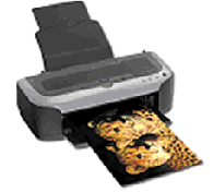 Скачать драйвер Photo 2100